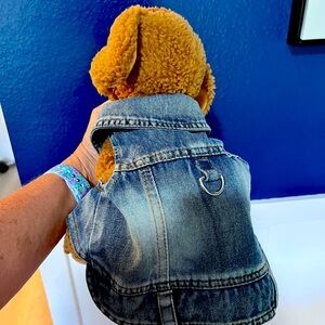 Denim Dog Vest